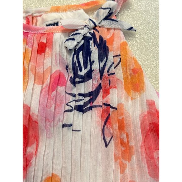 Janie & Jack Floral Rose Chiffon Sleeveless Pleat Swing Dress 2T - Picture 5 of 6